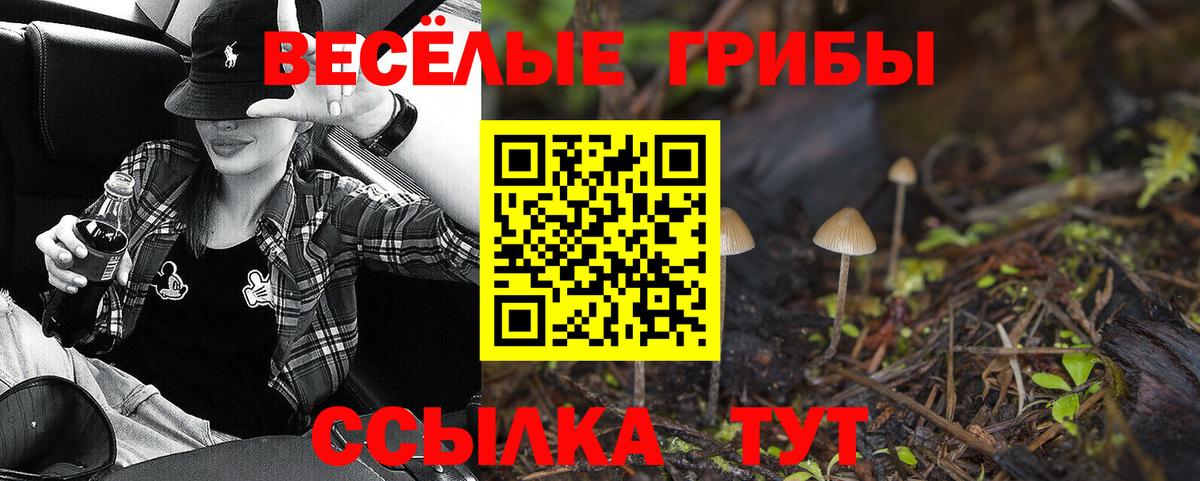 Галлюциногенные грибы мухоморы  Галлюциногенные грибы ЛСД  Вход с VPN  Еманжелинск 